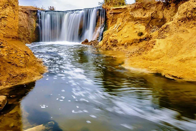 Tour To Wadi Al Hitan And Fayoum Oasis From Cairo